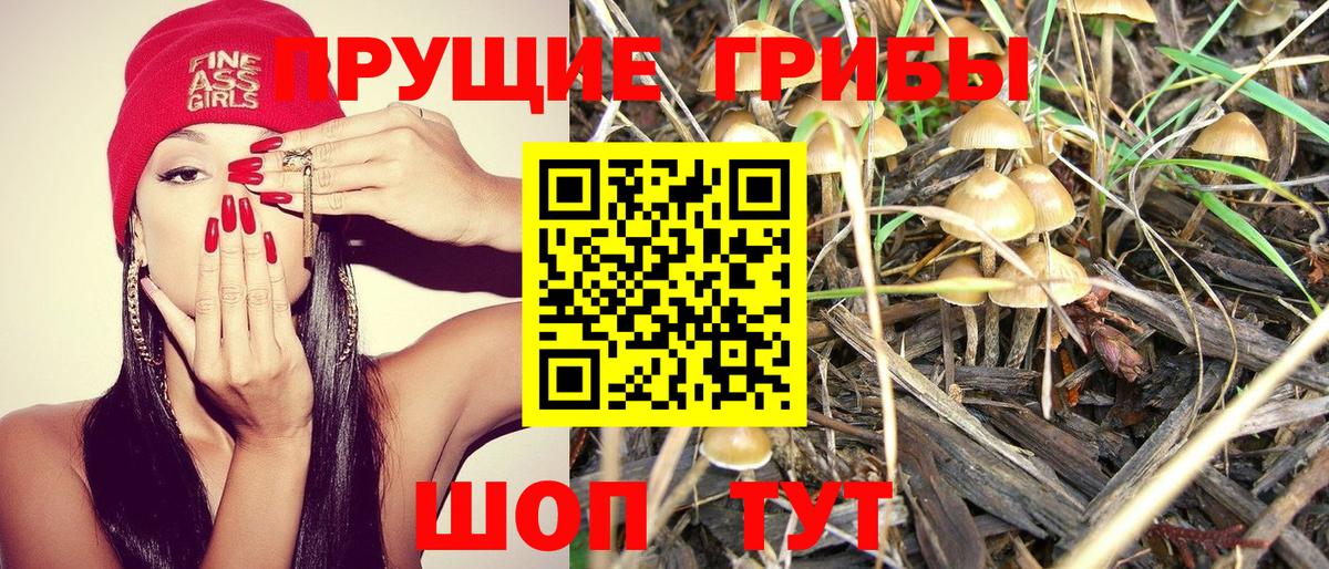 Галлюциногенные грибы Magic Shrooms Лысьва