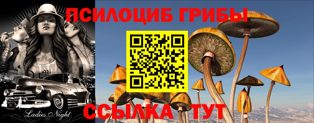 Лысьва  Псилоцибиновые грибы прущие грибы  Вход с VPN 